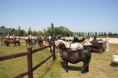 /album/menrit-04-06-2011/a06-04-2011-129-jpg/